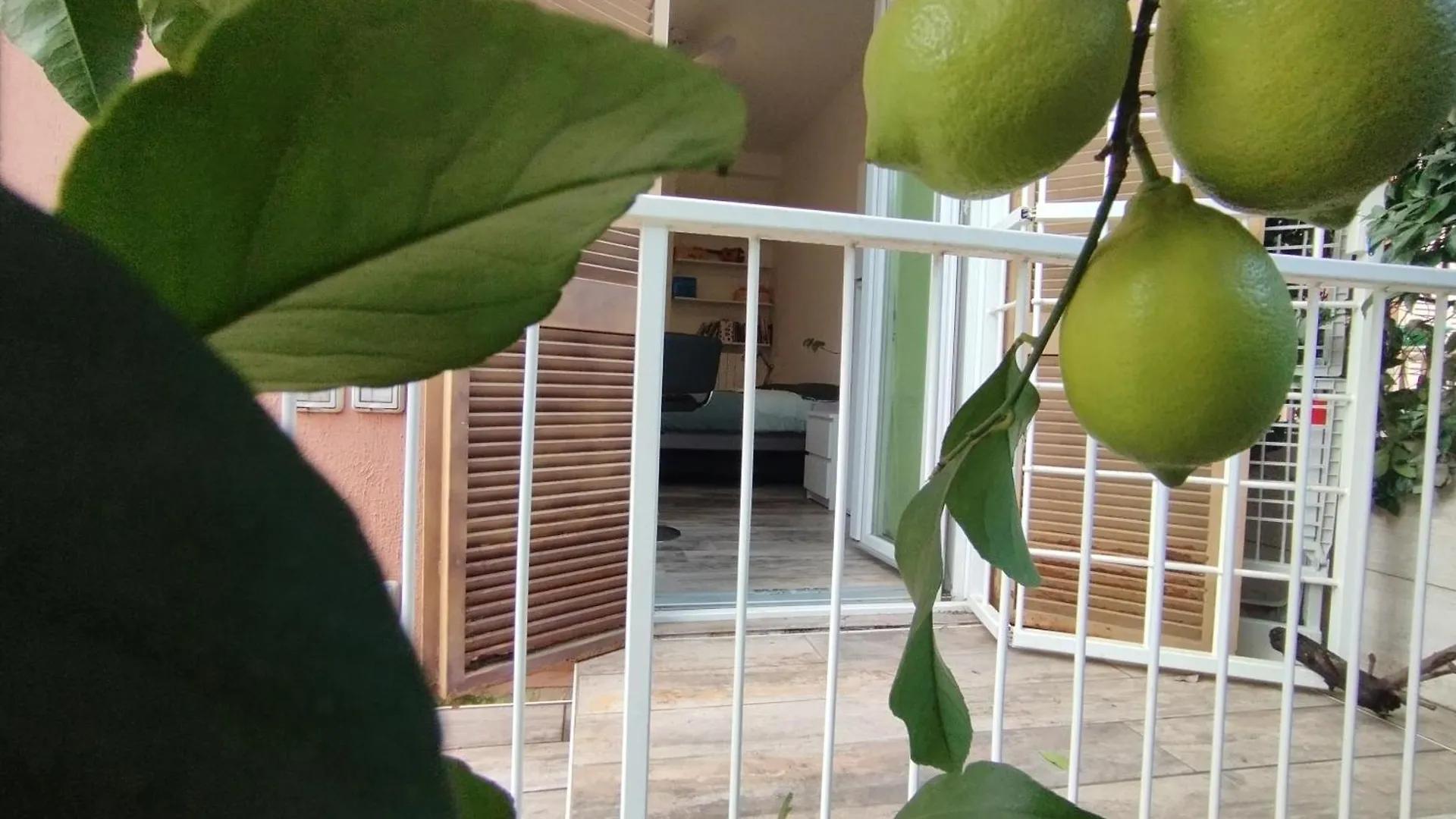 Homestay Comfortable Room Rome Italy